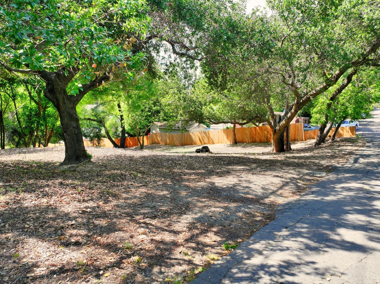 Ridge Street, Fair Oaks, California image 6
