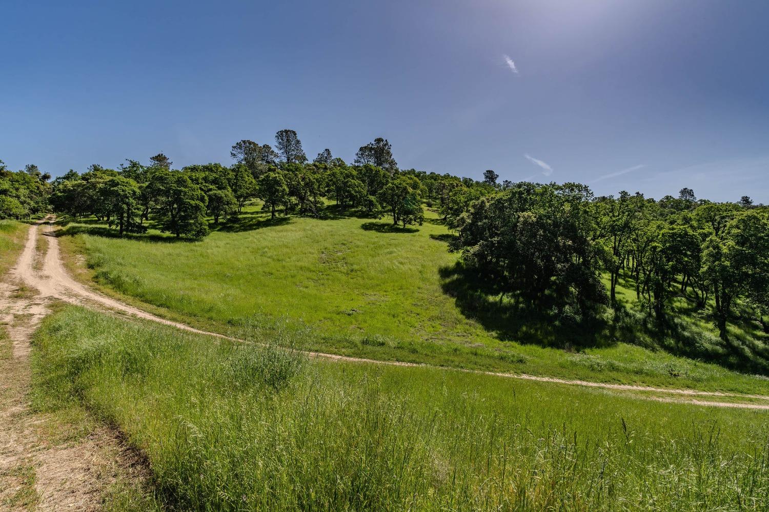 Sunset Drive, Sutter Creek, California image 1