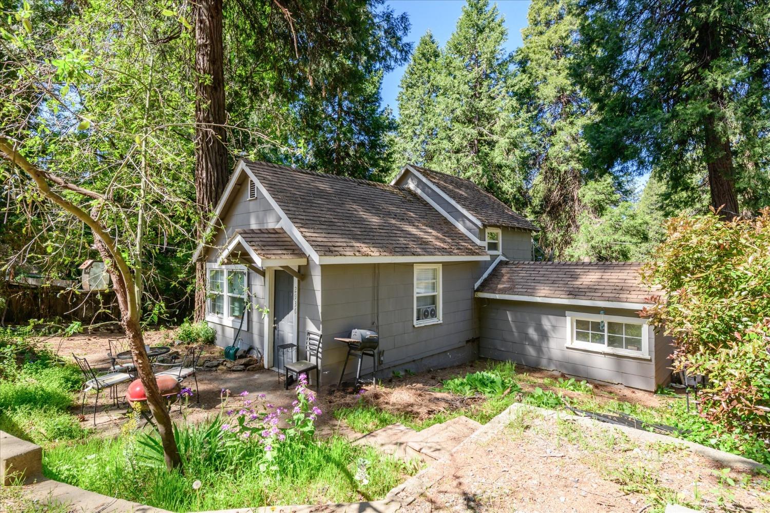 Alder Drive, Camino, California image 18