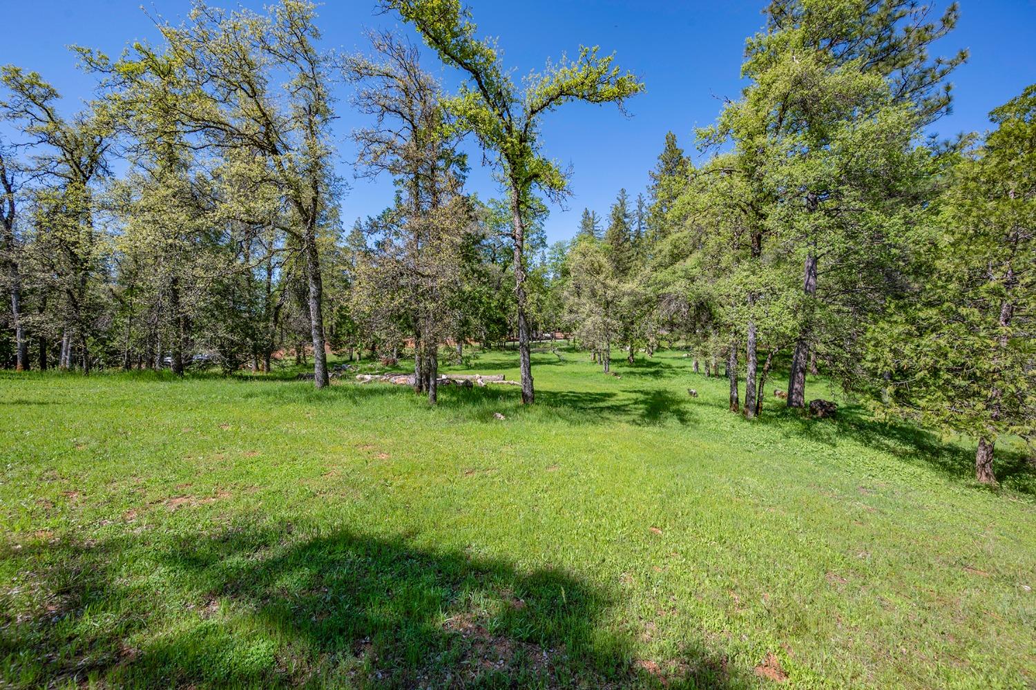 Empire Creek Circle, Georgetown, California image 50