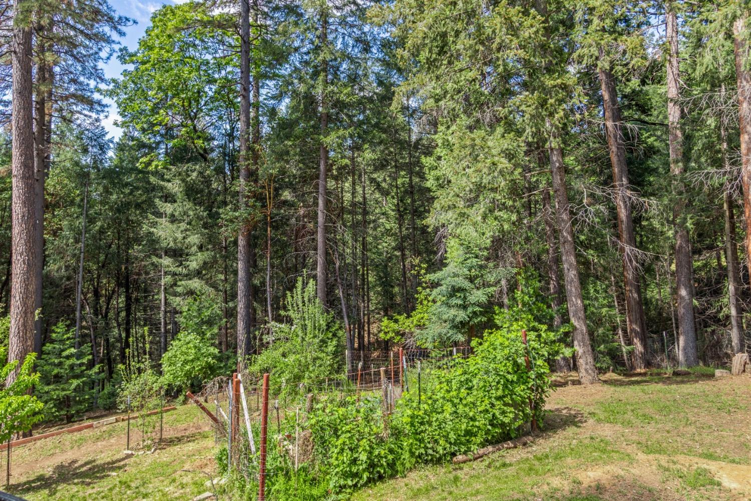 Detail Gallery Image 33 of 44 For 6360 Red Robin Rd, Placerville,  CA 95667 - 4 Beds | 2 Baths