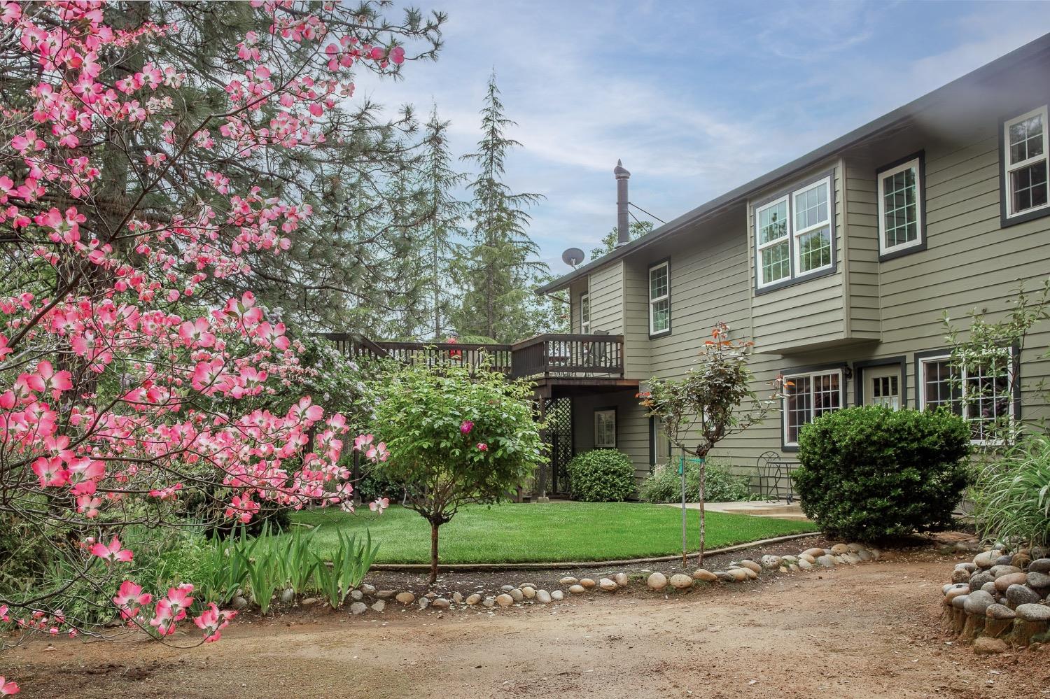Detail Gallery Image 1 of 61 For 12350 Eldel Road, Pine Grove,  CA 95665 - 3 Beds | 3 Baths