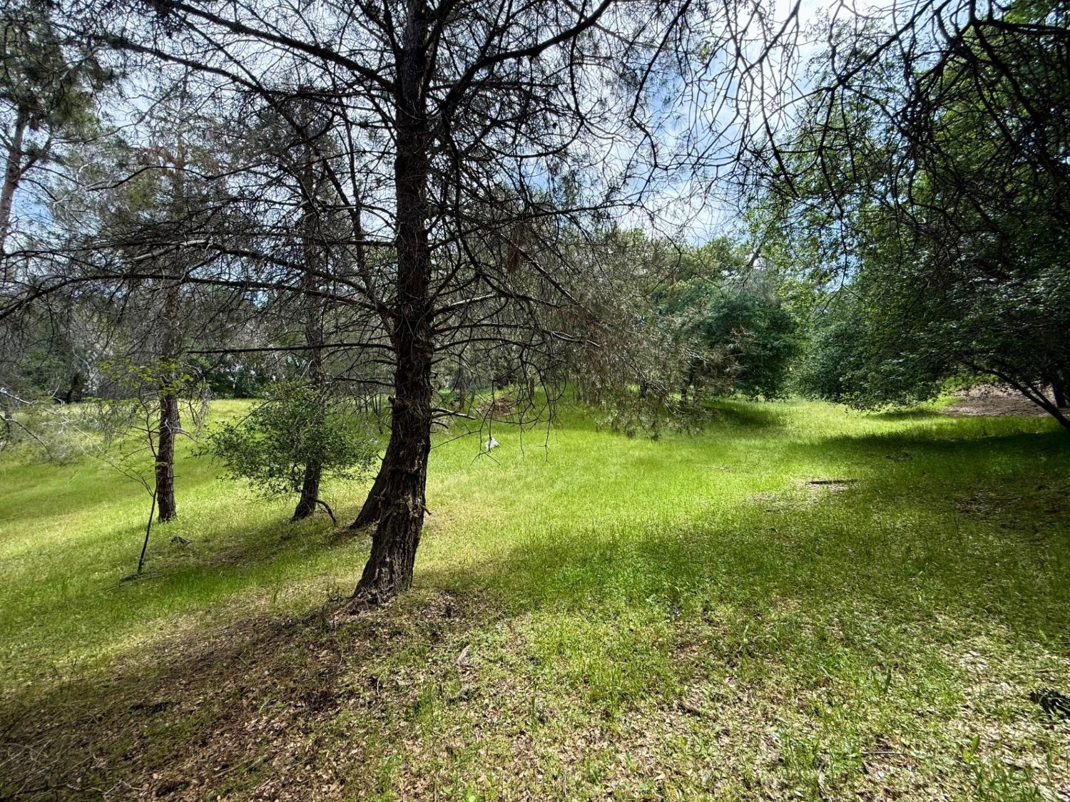 Castec Way, El Dorado Hills, California image 9