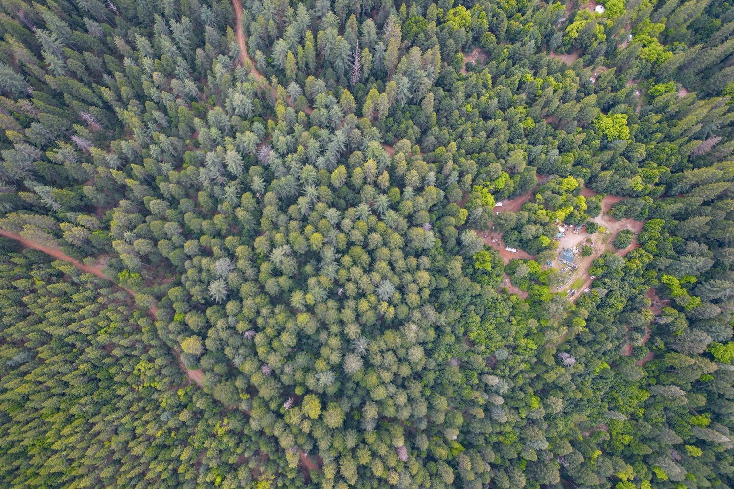 Long Point Road, Nevada City, California image 17