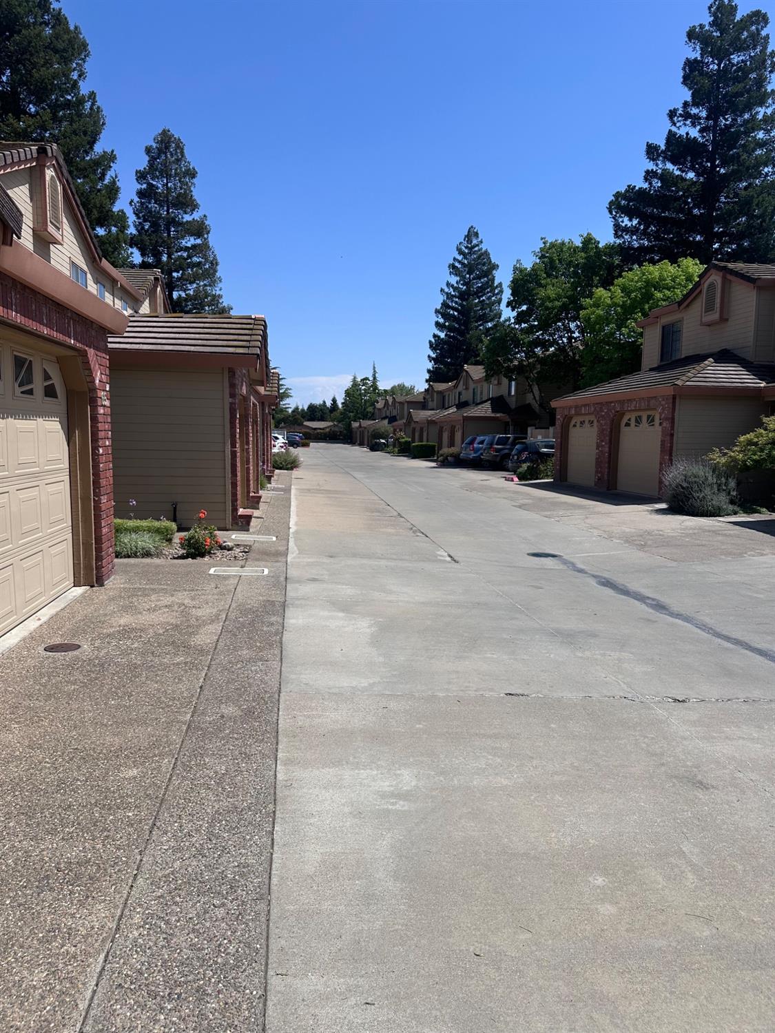Scarborough Drive #67, Lodi, California image 8