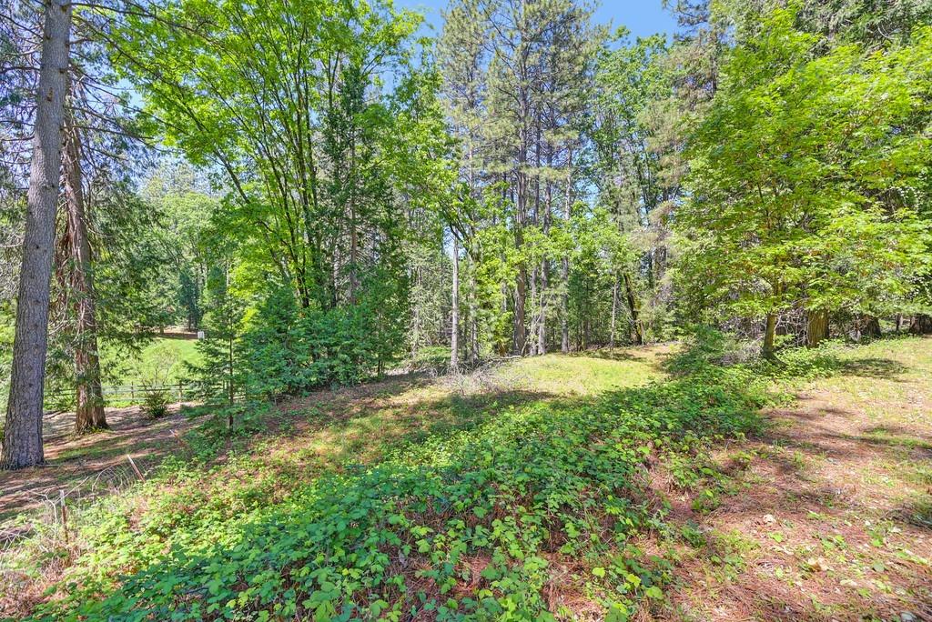Meadow Drive, Grass Valley, California image 36