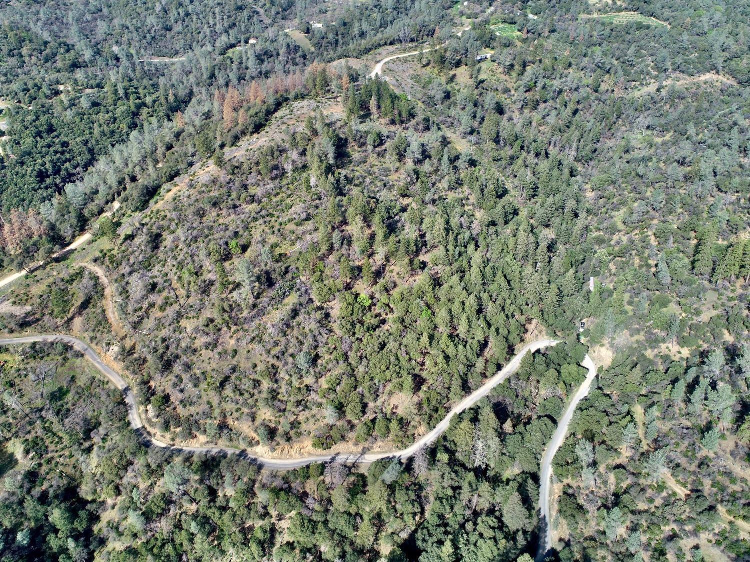 0 Lower Gulch Road, Oroville, California image 17