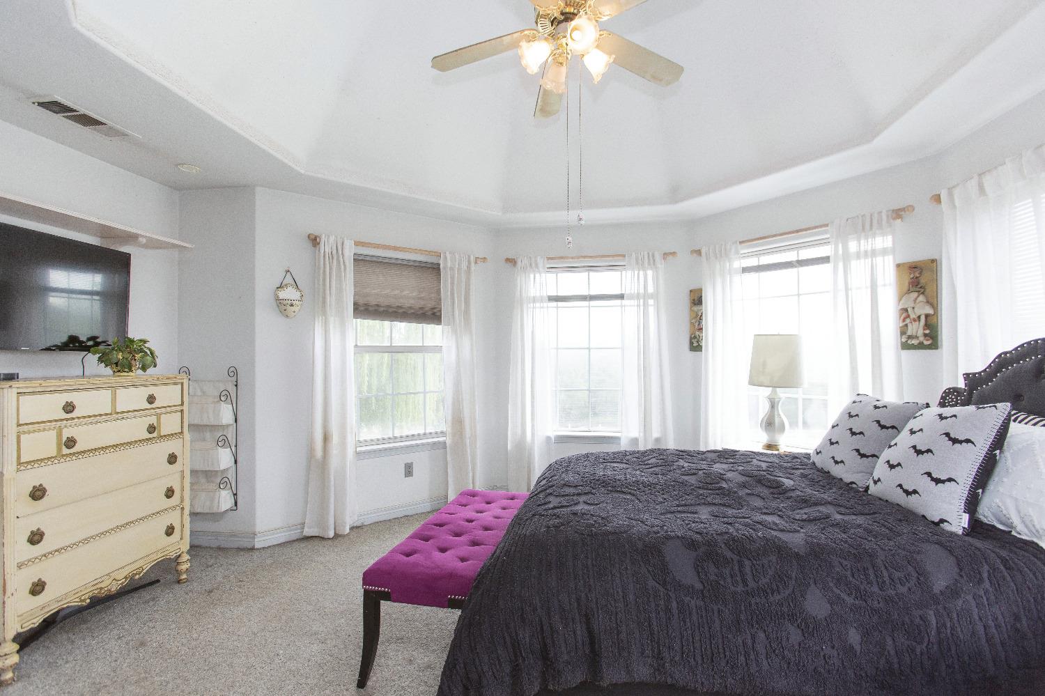 Detail Gallery Image 45 of 89 For 13247 Vineyard Road, Waterford,  CA 95386 - 5 Beds | 4 Baths