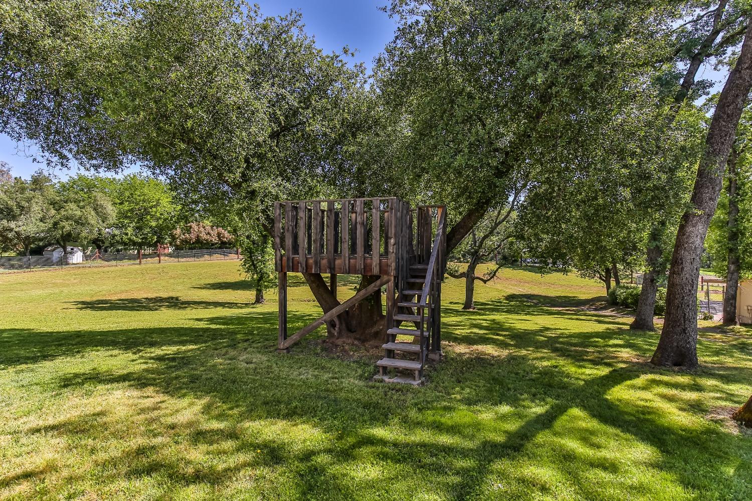 Dias Lane, Loomis, California image 34