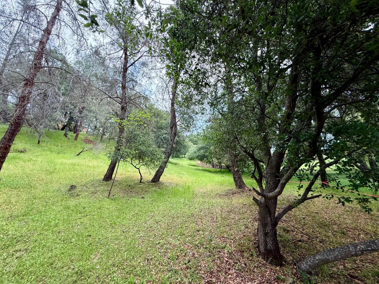 Castec Way, El Dorado Hills, California image 12