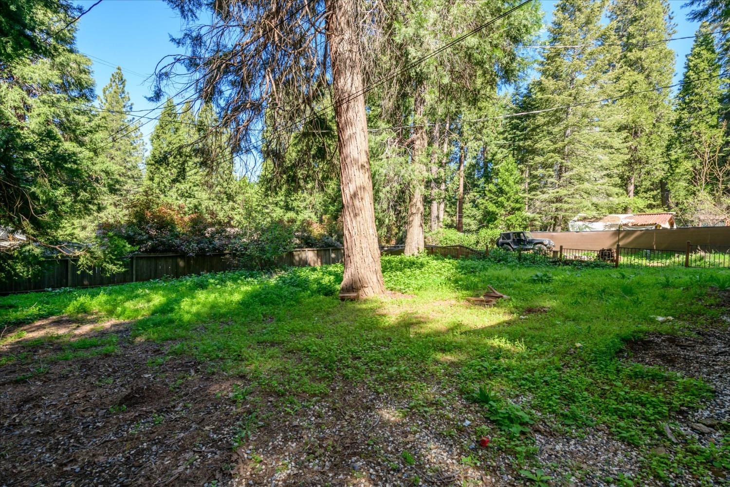 Alder Drive, Camino, California image 24