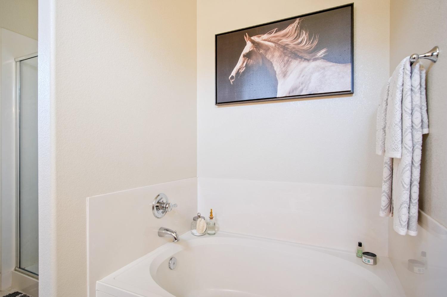 Breton Drive, Oakdale, California image 17