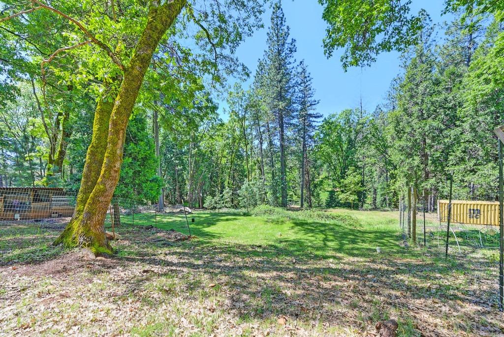 Meadow Drive, Grass Valley, California image 33