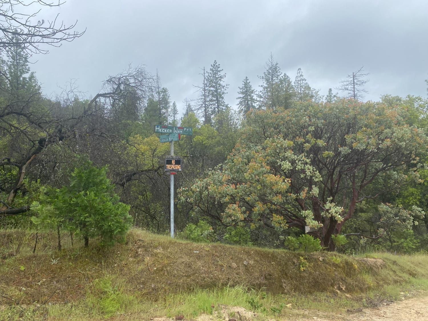 Hecker Way, Oroville, California image 12