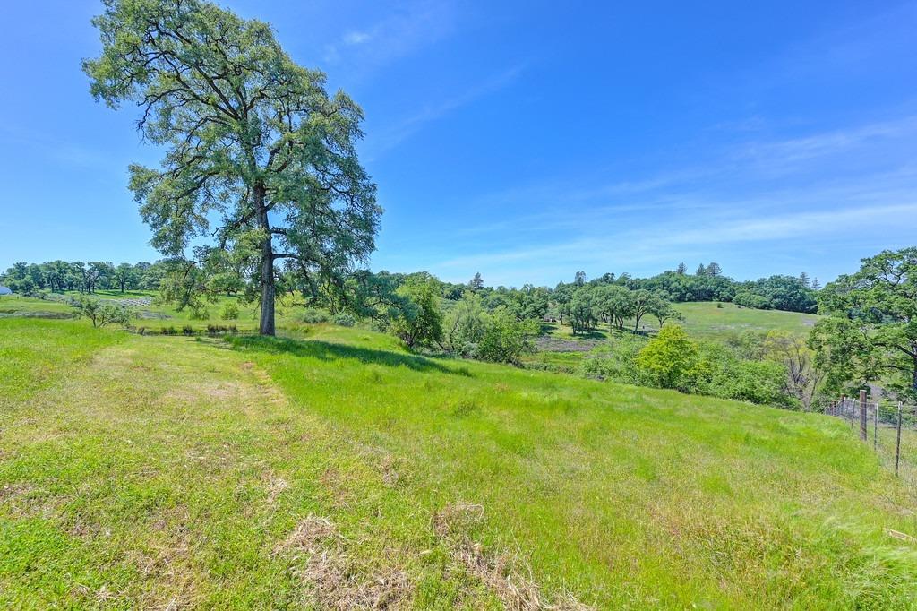 Meadow View Lane, Auburn, California image 47