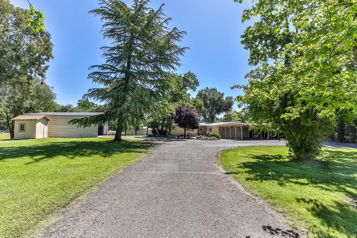 Dias Lane, Loomis, California image 5