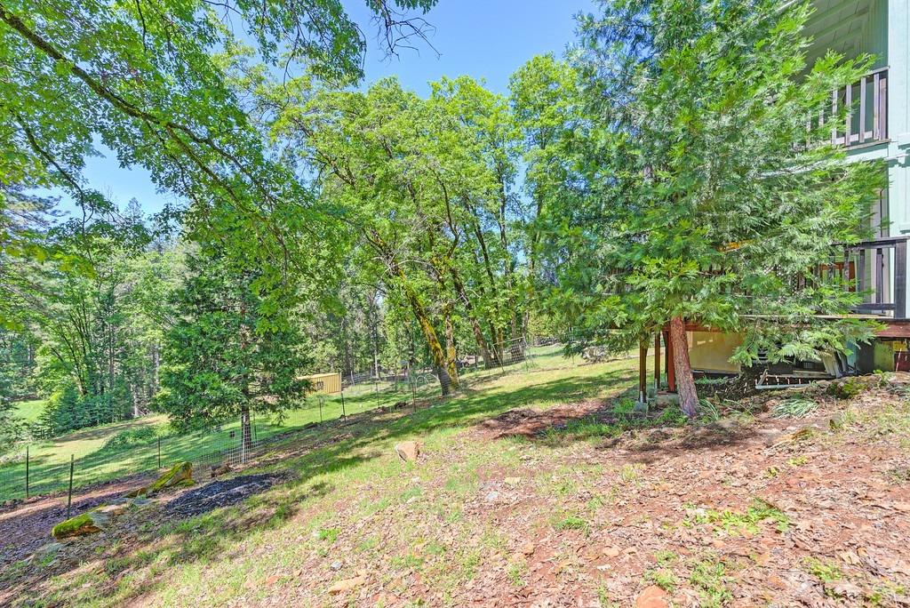 Meadow Drive, Grass Valley, California image 27