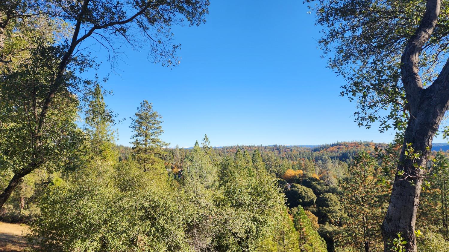 Hilltop Court, Applegate, California image 39