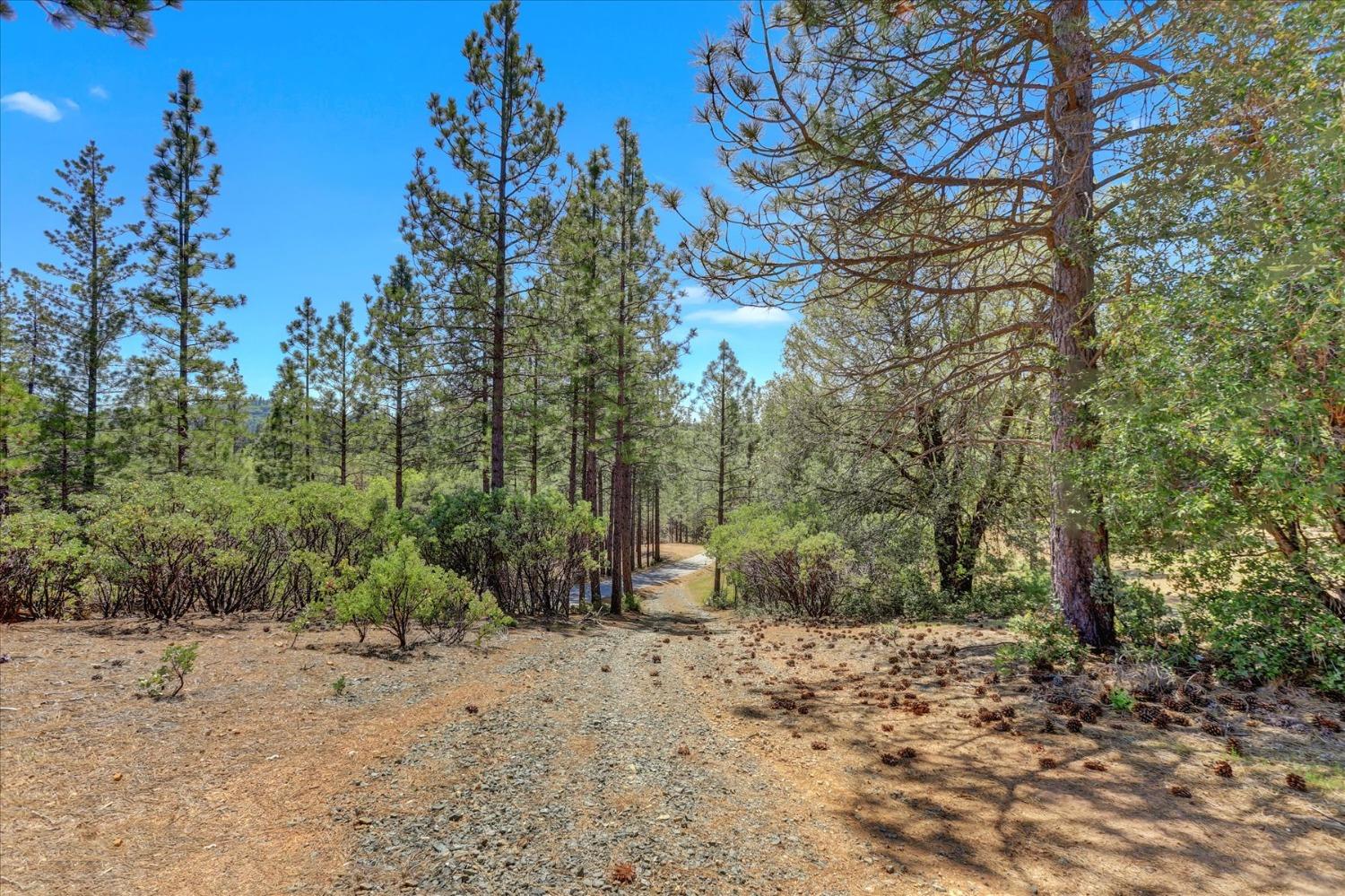 Detail Gallery Image 55 of 80 For 12673 Hoppy Hollow Rd, Grass Valley,  CA 95945 - 4 Beds | 3/1 Baths