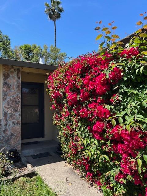 Ashwood Way, Sacramento, California image 2