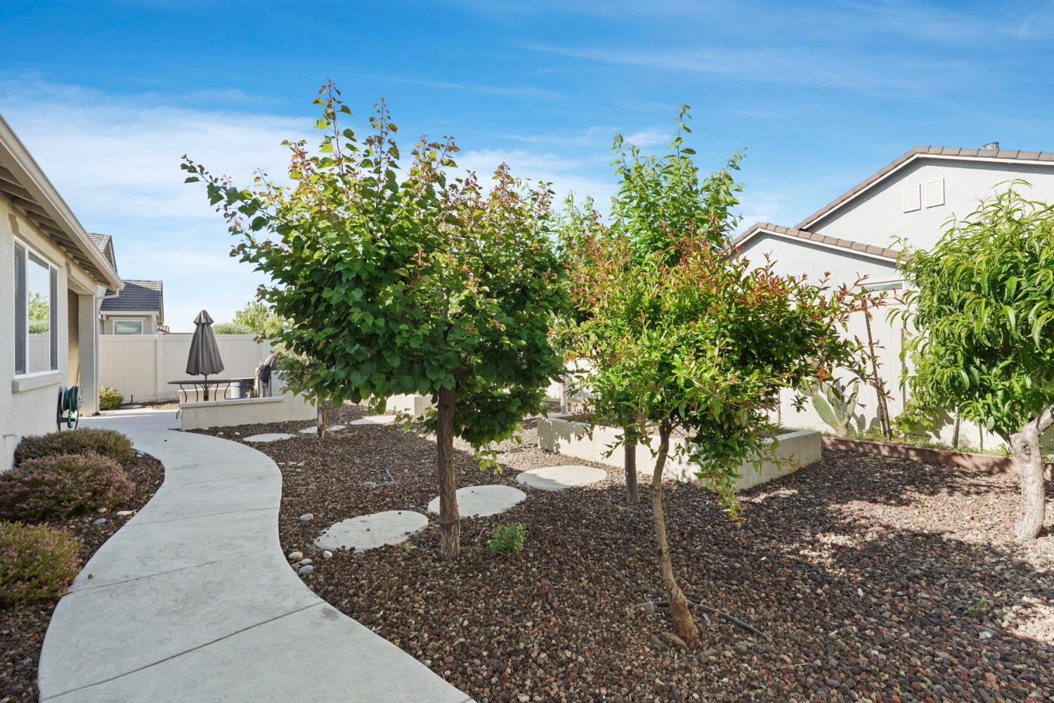 Shadow Berry Dr., Manteca, California image 27