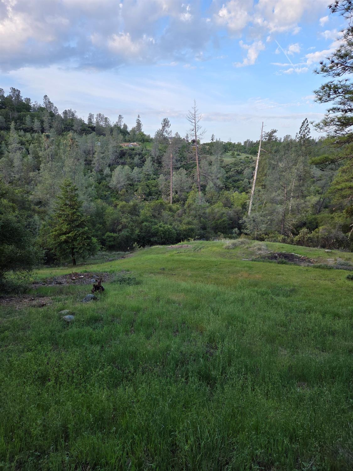 Mccarter Way, Grass Valley, California image 9