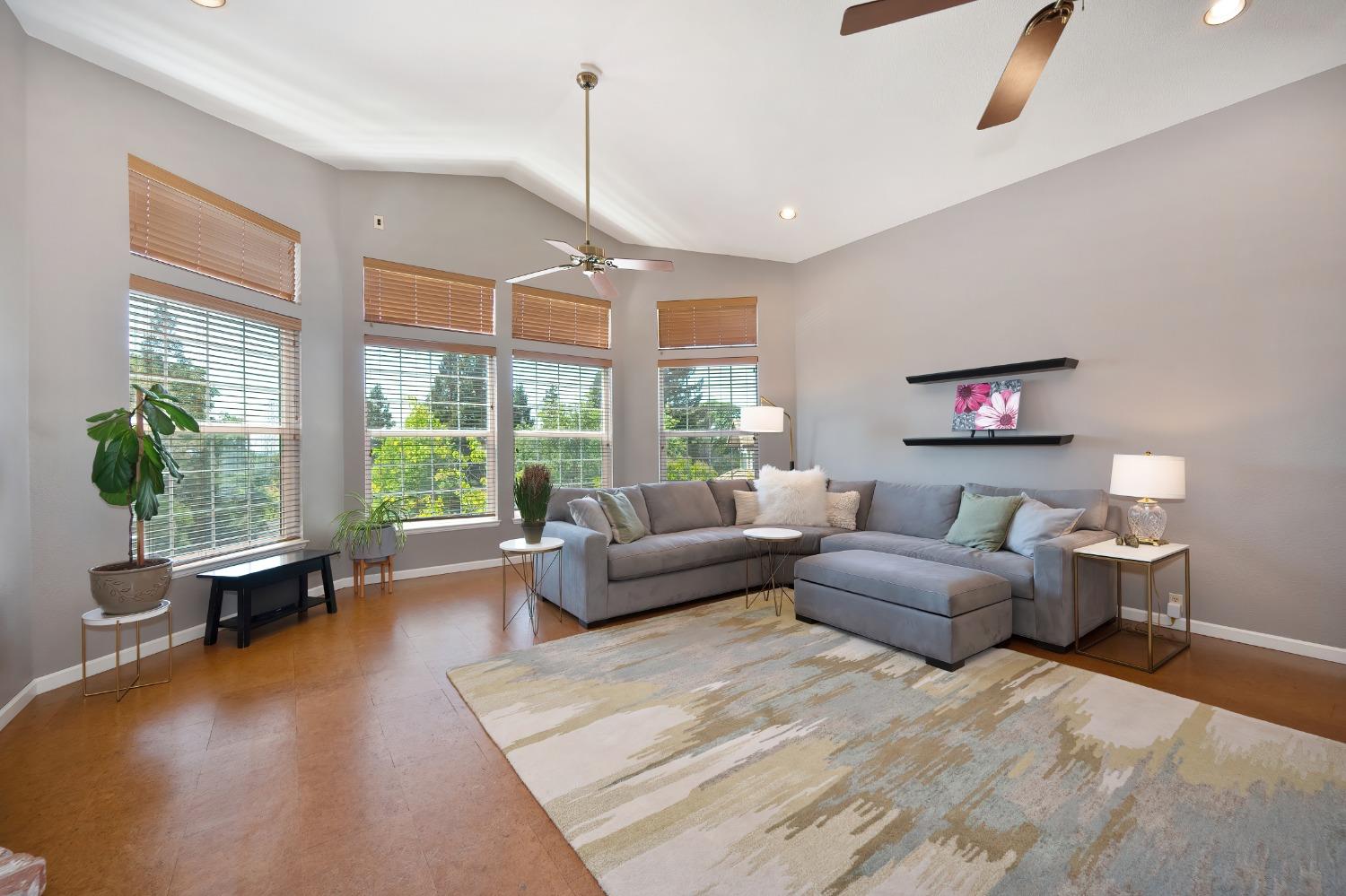 Sharon Court, Folsom, California image 5