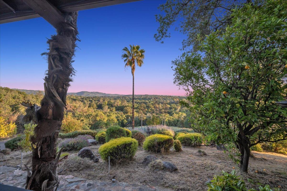 Detail Gallery Image 33 of 54 For 1605 Auburn Folsom Rd, Auburn,  CA 95603 - 3 Beds | 2 Baths