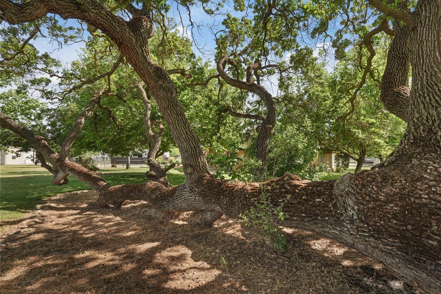 Detail Gallery Image 40 of 54 For 25292 White Fence Ct, Acampo,  CA 95220 - 4 Beds | 2 Baths