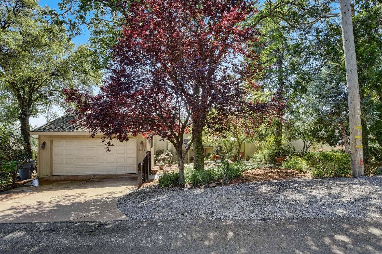 Viewridge Drive, Auburn, California image 2