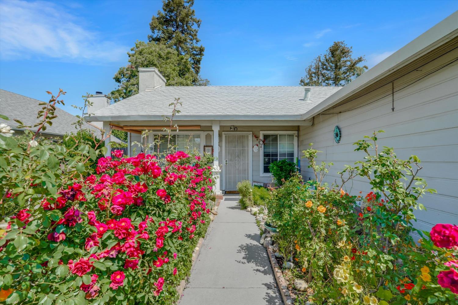 Crossbill Way, Turlock, California image 3