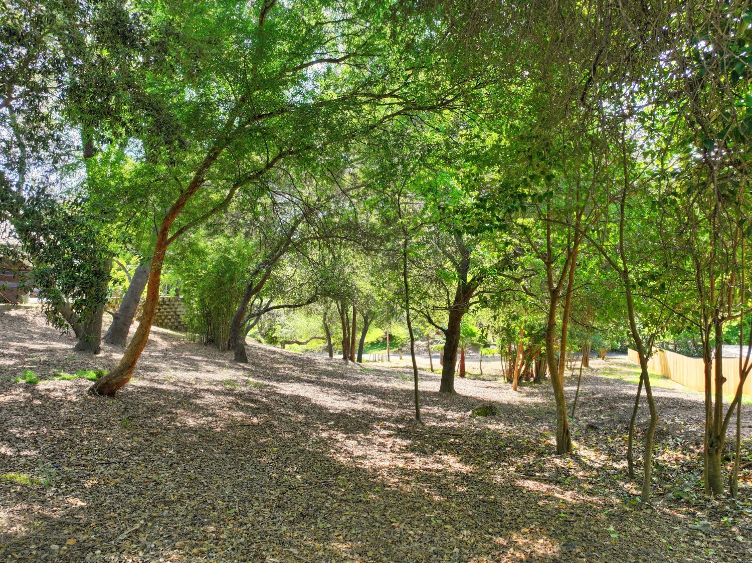 Ridge Street, Fair Oaks, California image 17