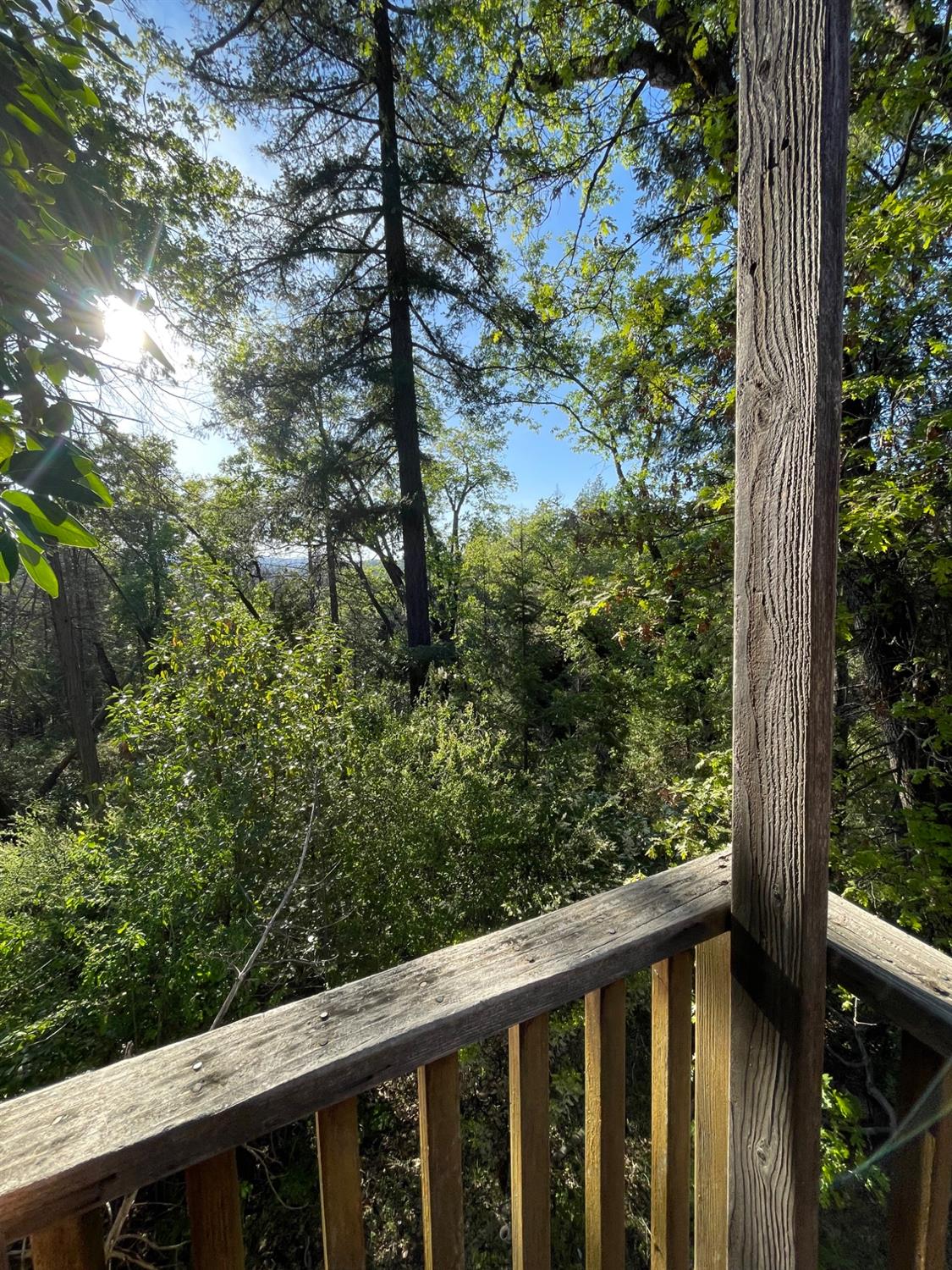 Detail Gallery Image 48 of 51 For 15003 Alleghany Rd, Camptonville,  CA 95922 - 1 Beds | 1 Baths