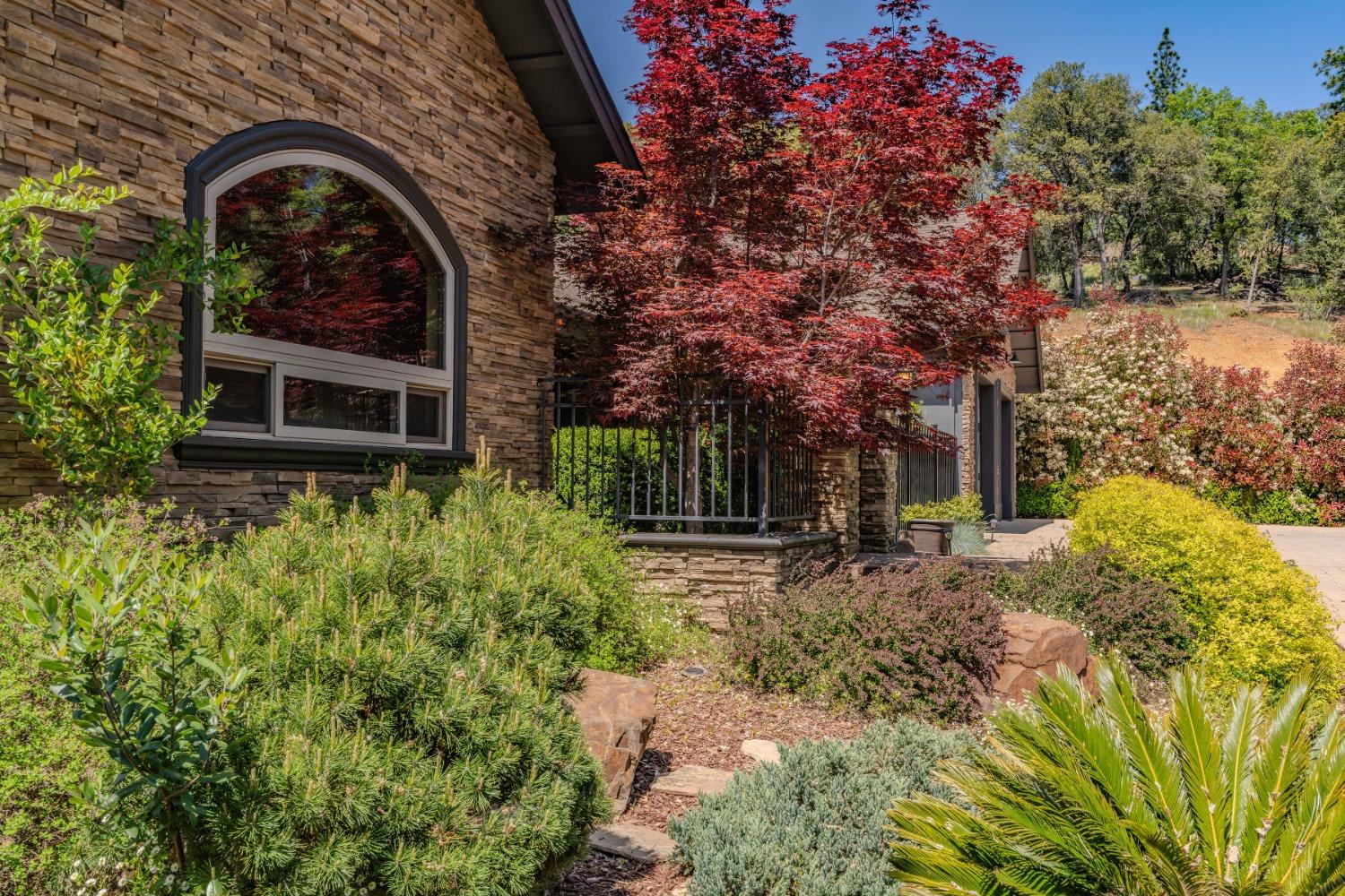 Detail Gallery Image 66 of 88 For 13707 Petersen Ranch Dr, Pine Grove,  CA 95665 - 3 Beds | 2/1 Baths