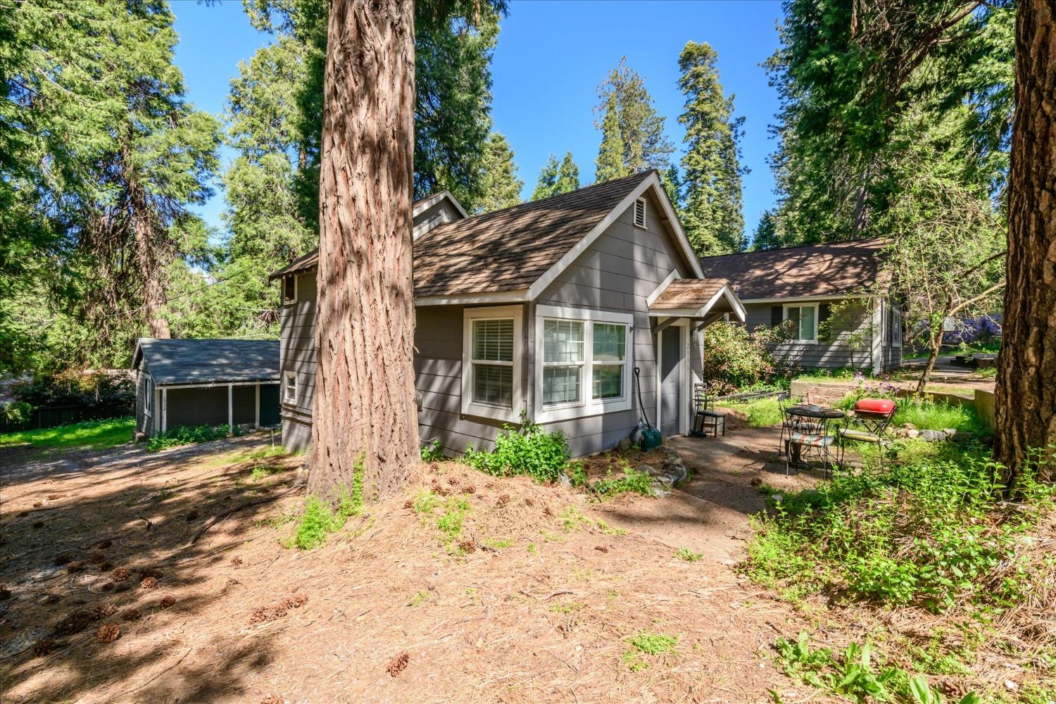 Alder Drive, Camino, California image 1