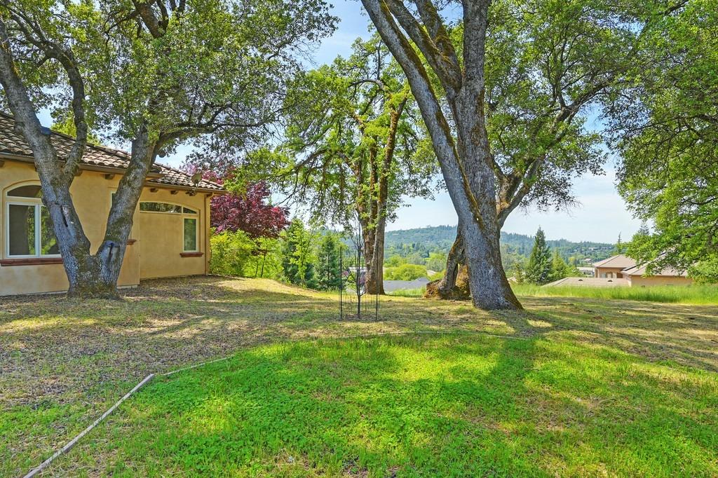 Austin Forest Circle, Auburn, California image 42