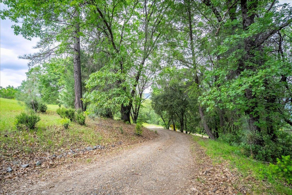 Bear Rock Road, Placerville, California image 38