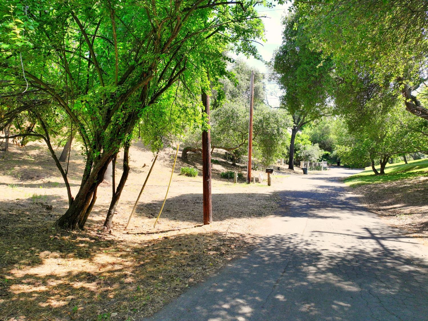 Ridge Street, Fair Oaks, California image 11