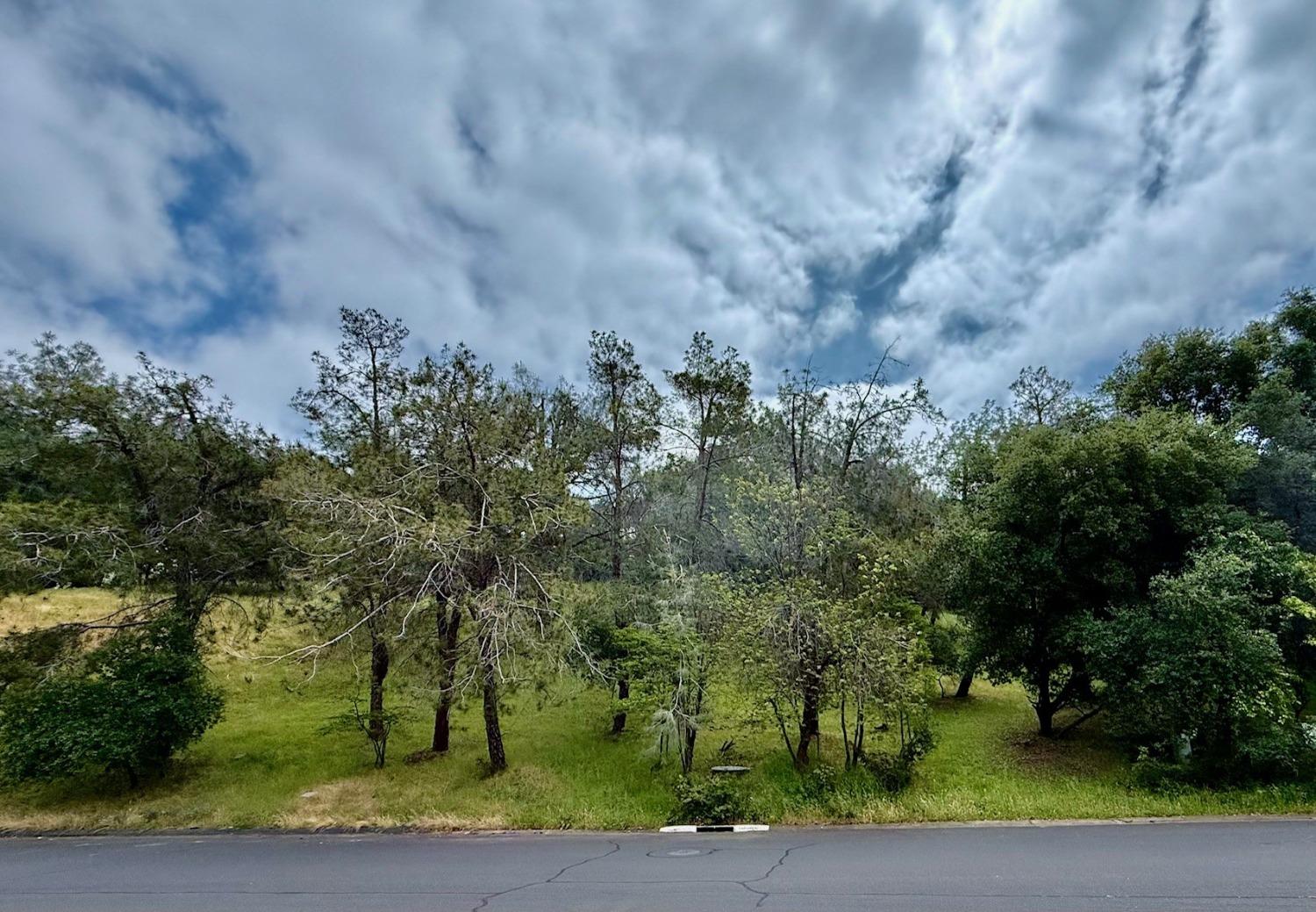 Castec Way, El Dorado Hills, California image 3