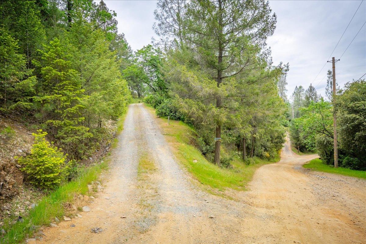 Bear Rock Road, Placerville, California image 40