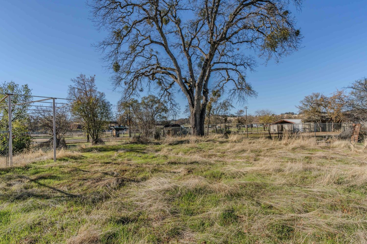 Gerrans Street, Plymouth, California image 50