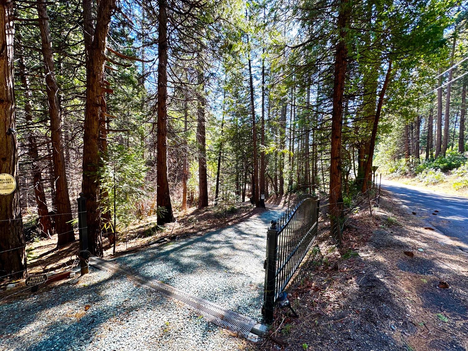 Inspiration Drive, Pioneer, California image 8