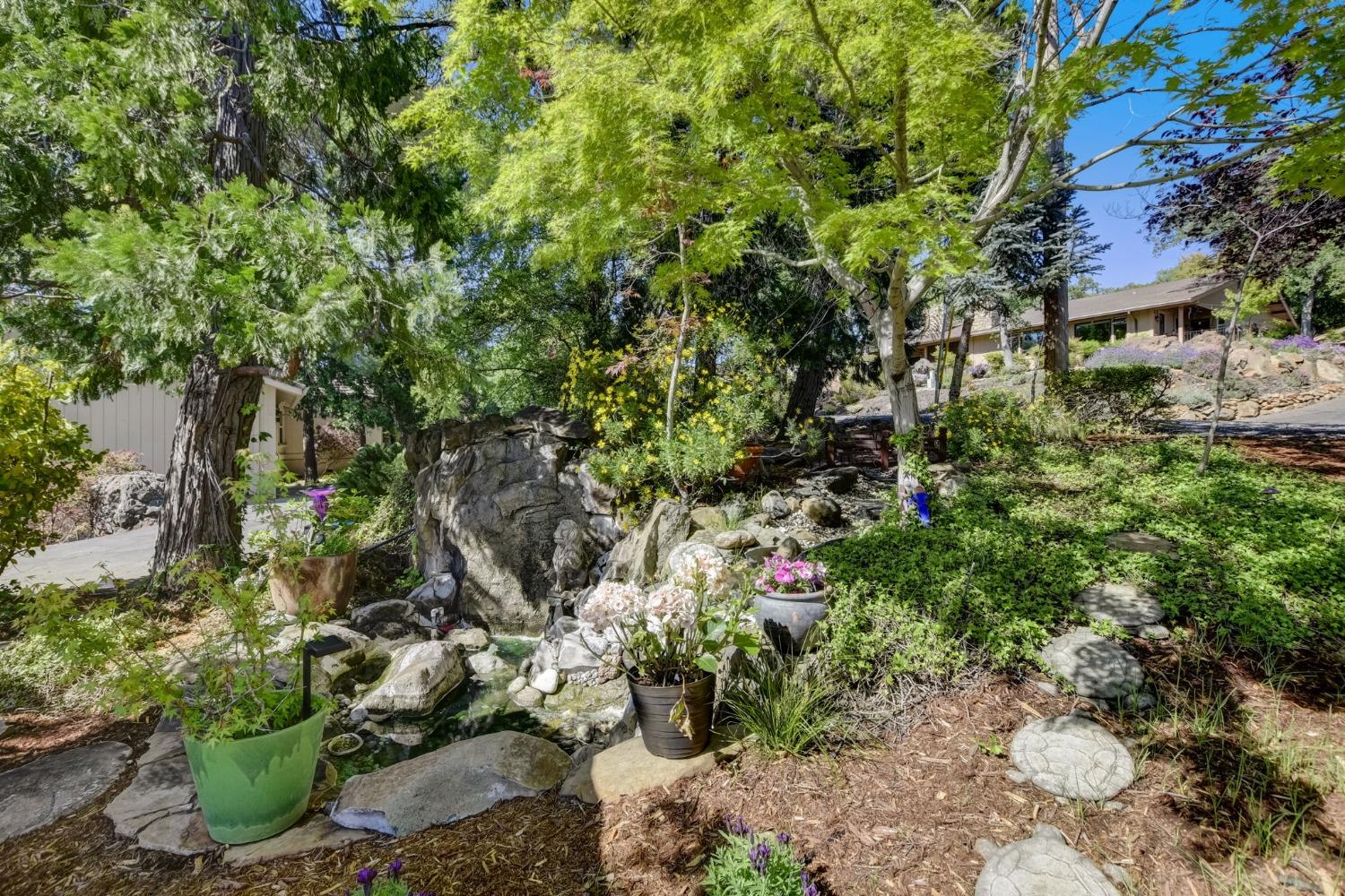 Viewridge Drive, Auburn, California image 7