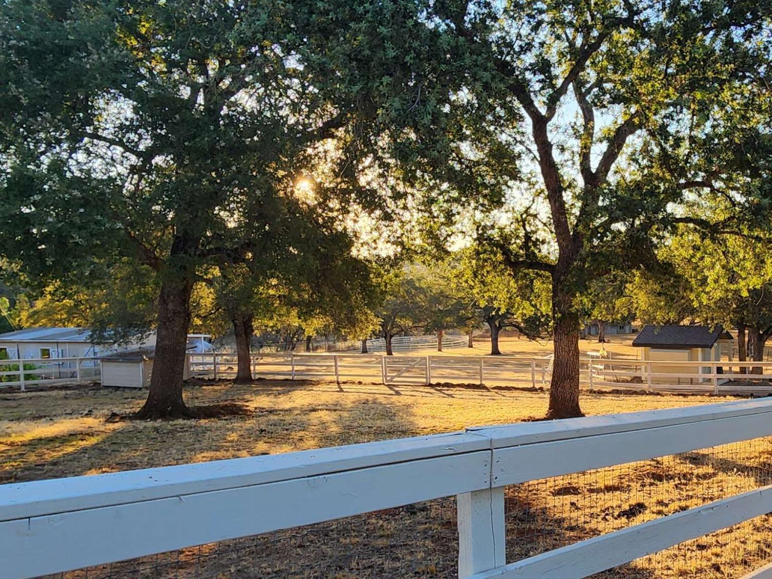 Silver Oaks, Shingle Springs, California image 29