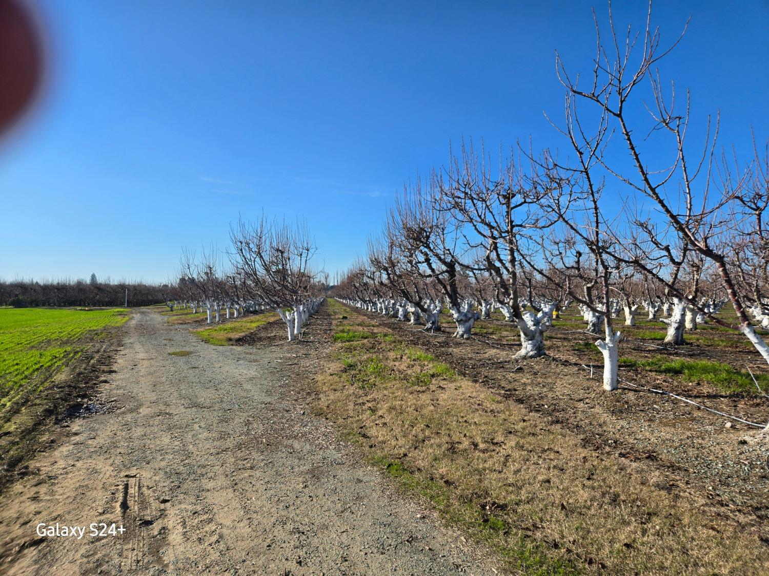 Detail Gallery Image 1 of 16 For 0 Andrus Island Rd, Isleton,  CA 95641 - – Beds | – Baths
