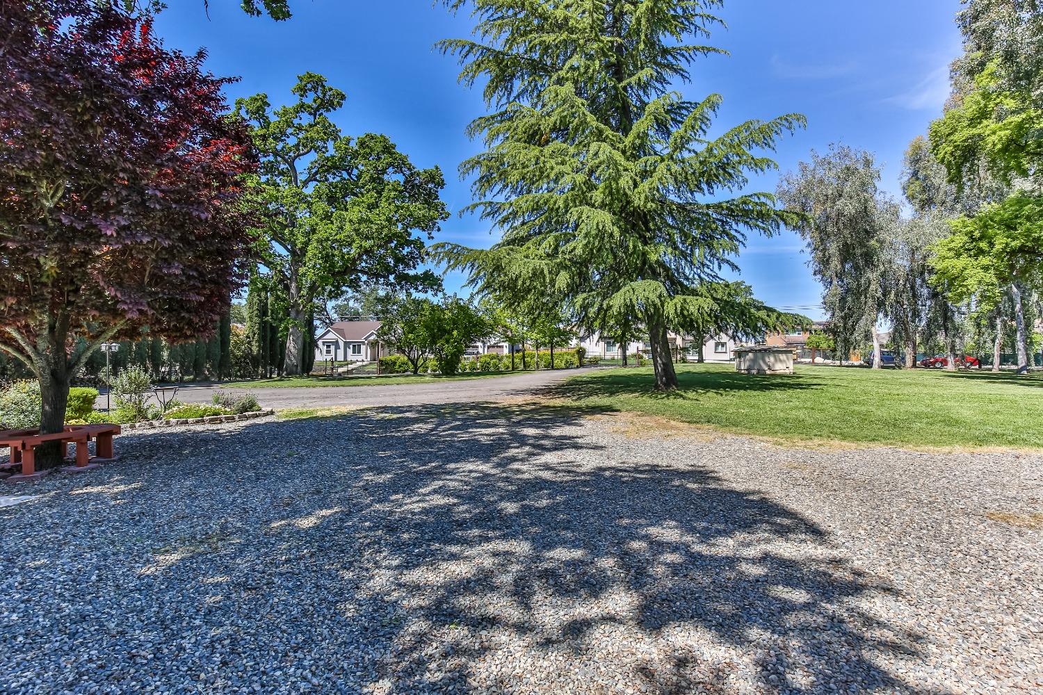 Dias Lane, Loomis, California image 12