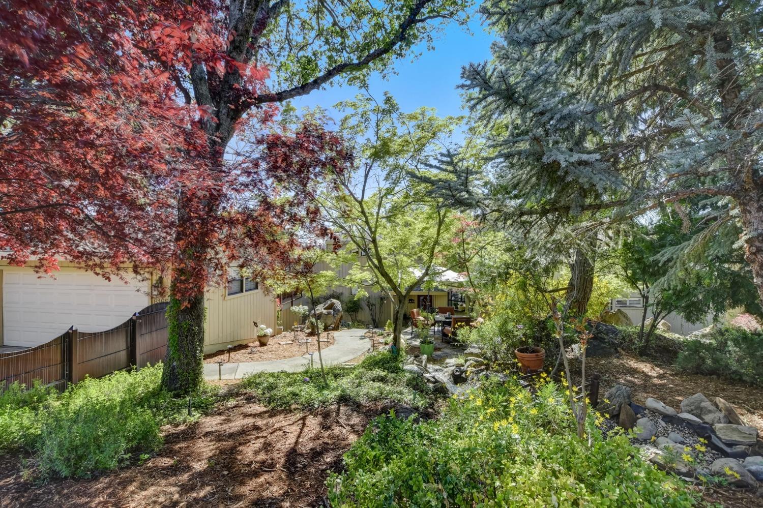 Viewridge Drive, Auburn, California image 8