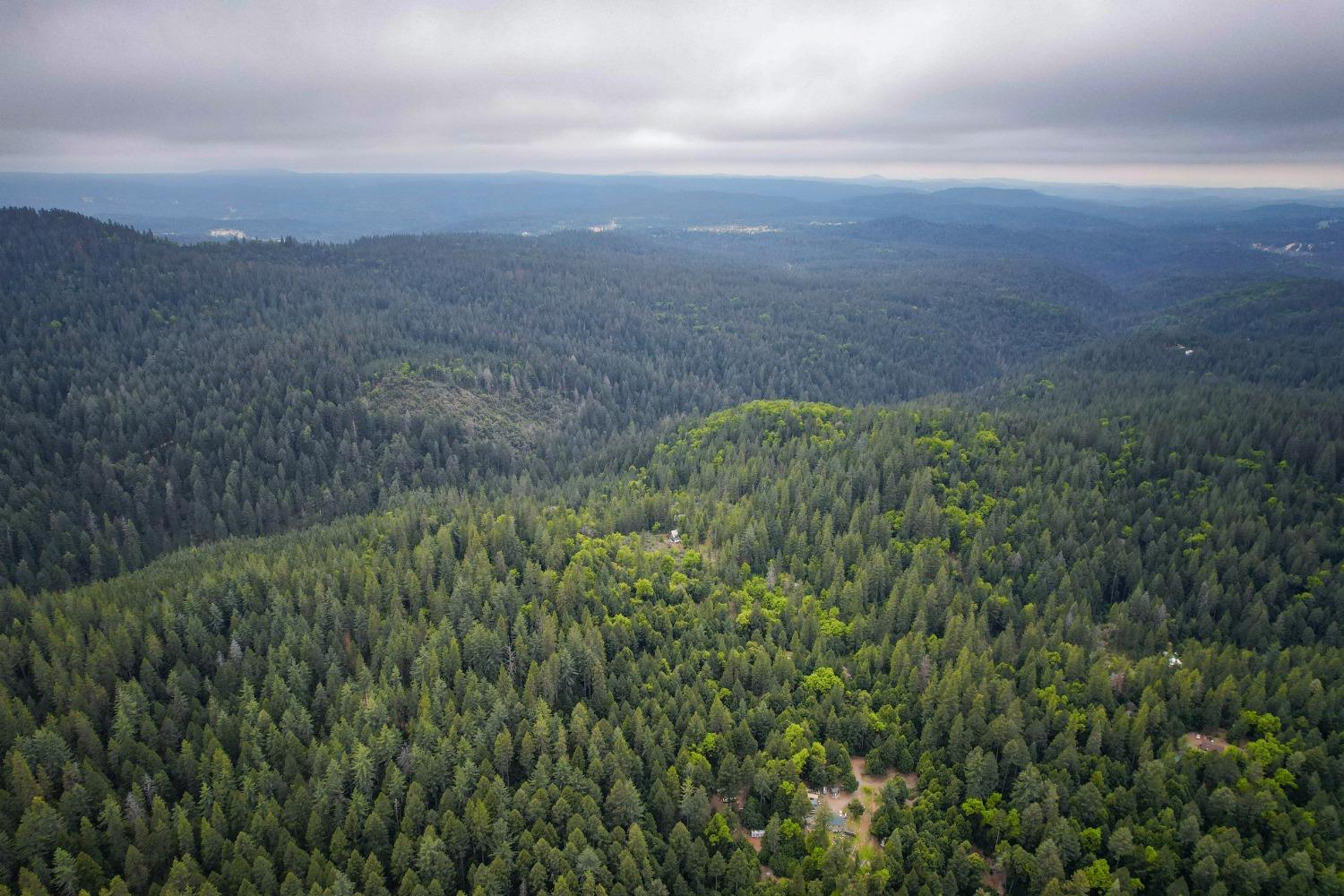 Long Point Road, Nevada City, California image 21