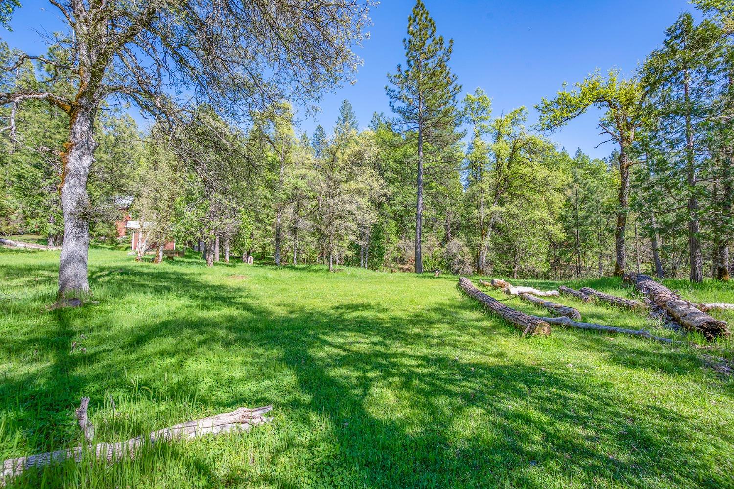 Empire Creek Circle, Georgetown, California image 49