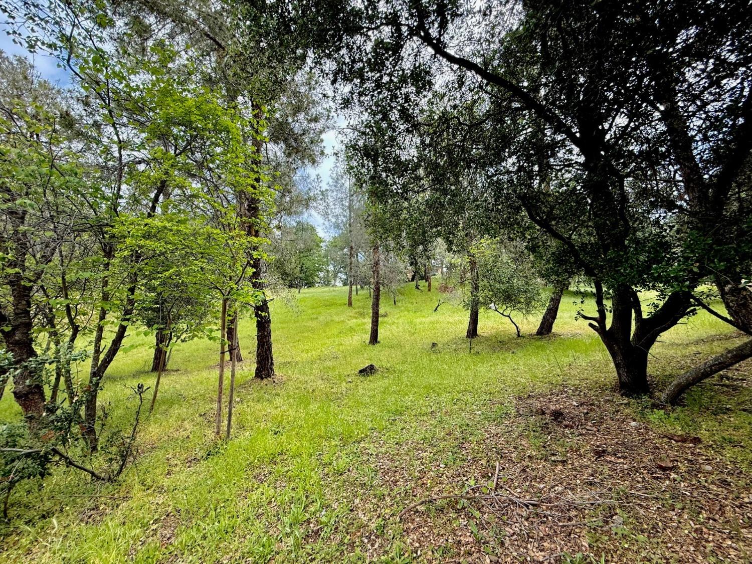 Castec Way, El Dorado Hills, California image 11